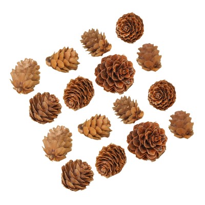  100 Pcs Kiefernblumendekorationen Christmas Pine Cone Tannenzapfen-Ornamente