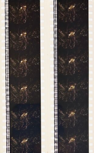 Jurassic Park 1993 Very Rare Unmounted 35mm Film Cells - Steven Spielberg - Picture 90 of 142