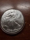 2001 1 oz Silver American Eagle (Brilliant Uncirculated)