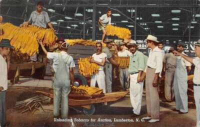 Lumberton North Carolina Unloading Tobacco for Auction Vintage Postcard  AA64034