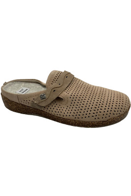 earth origins aurora jessica