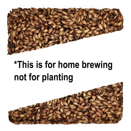 Home Brew Ohio Special B Grain 10lb - Picture 6 of 7