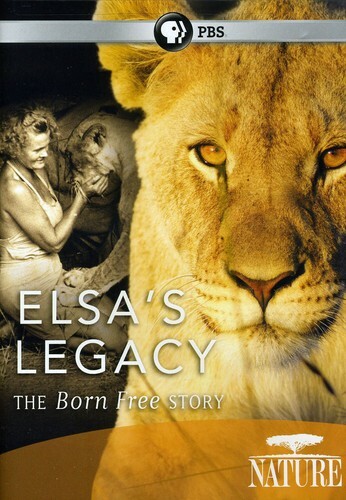 ELSAS LEGACY - Picture 1 of 1