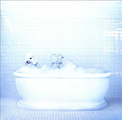 FRANKIE COSMOS Vessel CD BRAND NEW Gatefold Sleeve Greta Kline