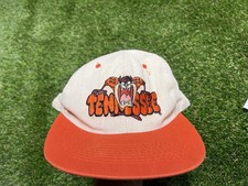 Vintage Vols Hat Taz Devil 90s Looney Tunes Tennessee Volunteers SnapBack