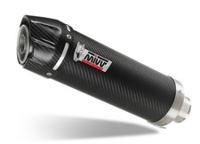 End Exhaust MIVV GP Carbon With Cup Carbon Cf Motorcycle 450NK 2023 2024