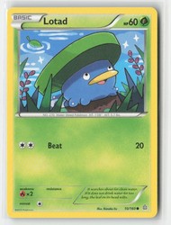 Lotad 10/160 Primal Clash