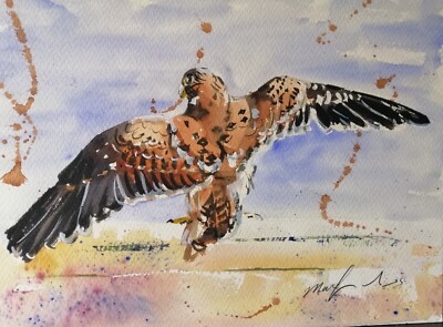 ORIGINAL Aquarell Gemälde Turmfalke Greifvogel 15'' x 11'' Marilyn Allis