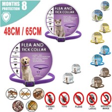 Floh Zeckenhalsband Hund Katze 8 Monate Schutz Anti Parasiten Halsband