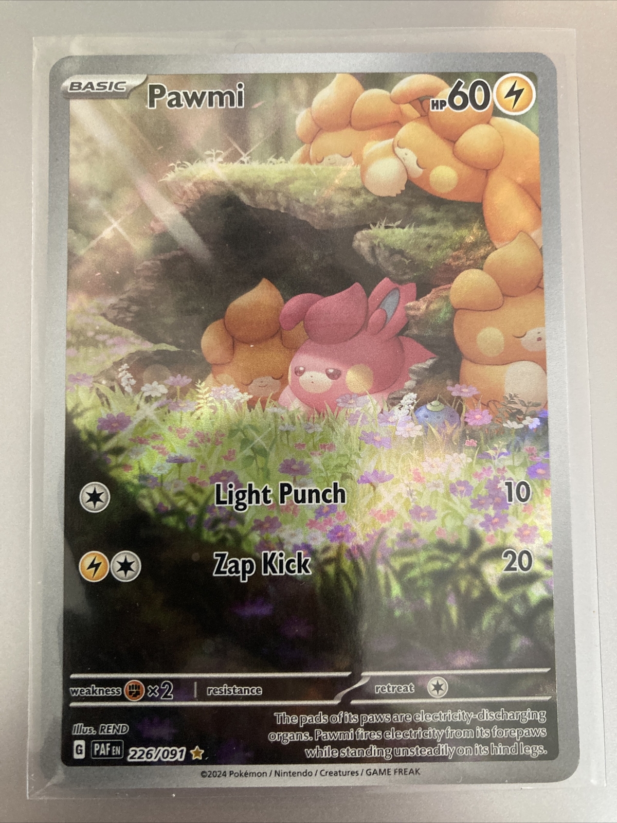 Pokémon TCG Pawmi Scarlet & Violet: Paldean Fates 226/091 Holo Illustration Rare