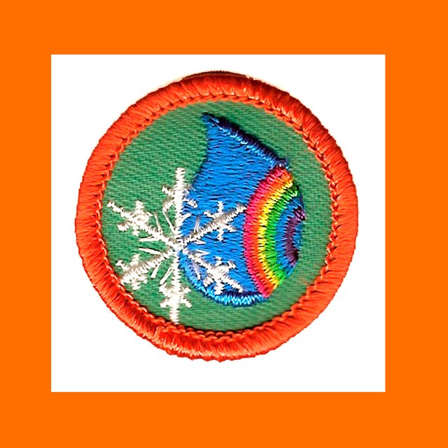 WATER WONDERS Girl Scout Badge Worlds to Explore NEW Science Today