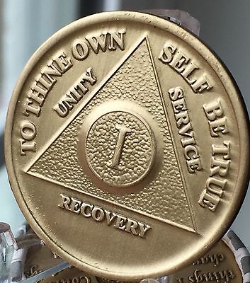 1 Year Alcoholics Anonymous AA Bronze Medallion Coin Sobriety Chip One