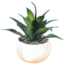 Plastic Succulent Plant Simulation Potted 12cm H x 13cm W for Indoor Decor