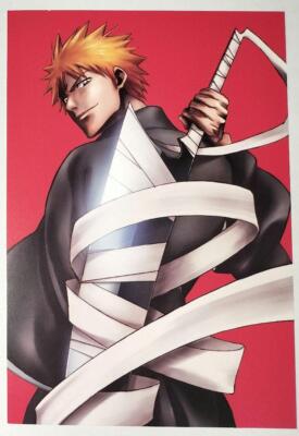 BLEACH Ichigo Postkarte 2 Umschläge mit Wahrzeichen Anime Waren aus Japan