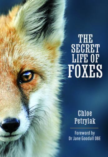 Secret Life of Foxes by Chloe Petrylak (2023, Hardcover)