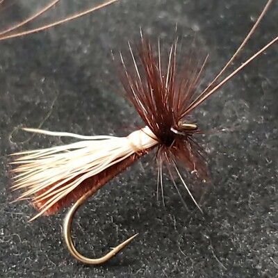 ELK HAIR CADDIS SIZE 10 SLICK WATER BROWN CUSTOM TIED DRY FLY