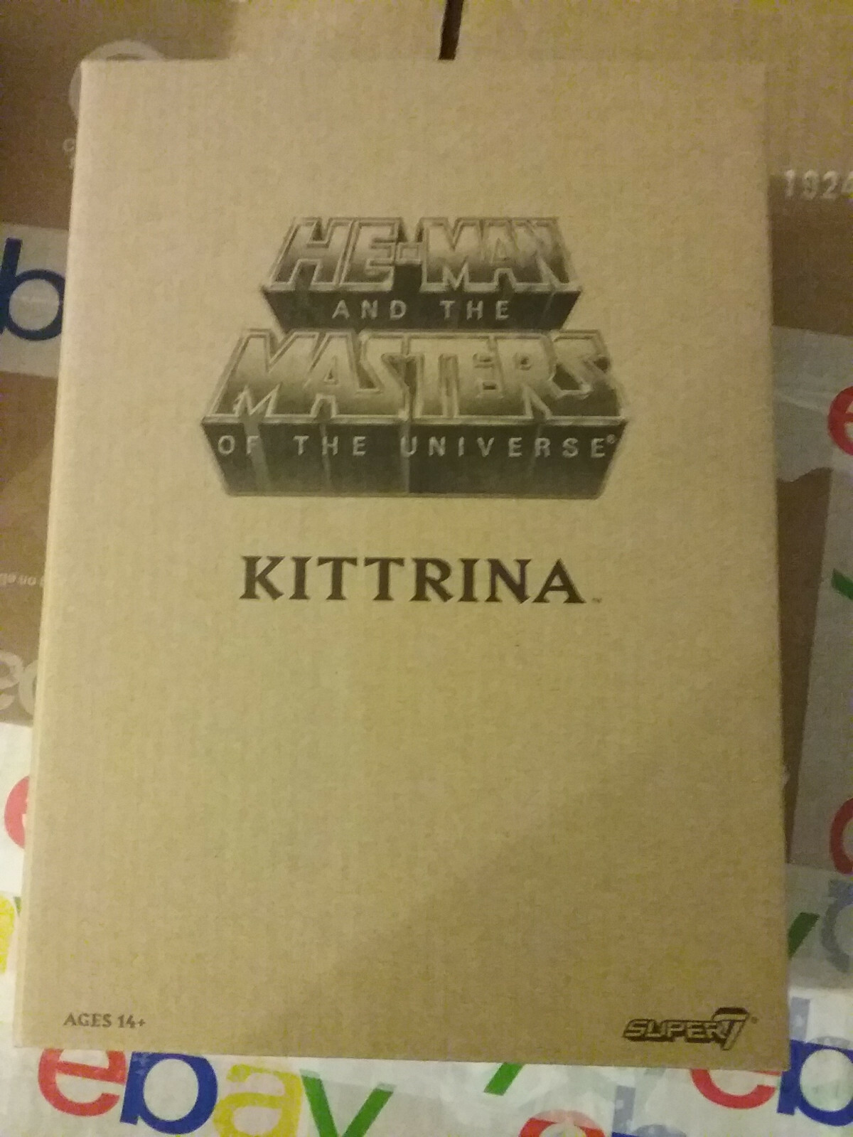 MOTU Classics Club Grayskull Wave 4 Kittrina Figure by Super7 New in Box  