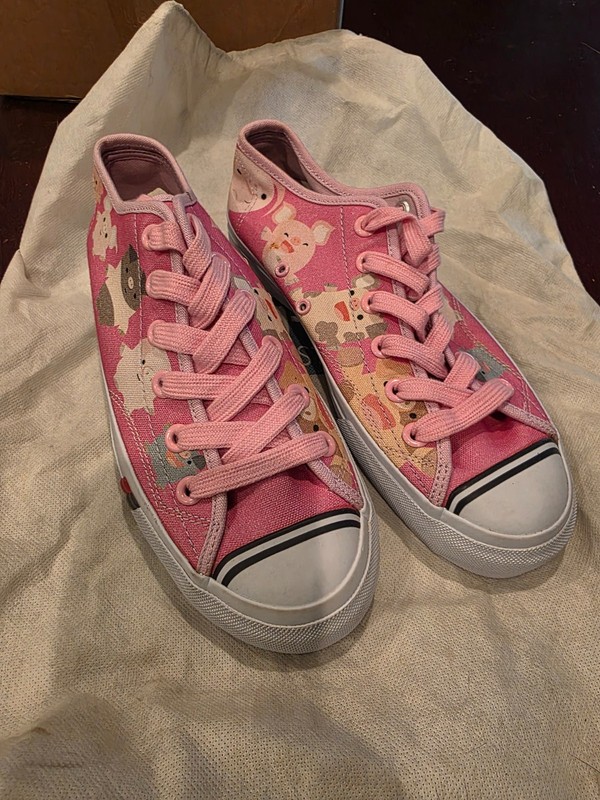 Pro=Keds custom ordered PIG shoes