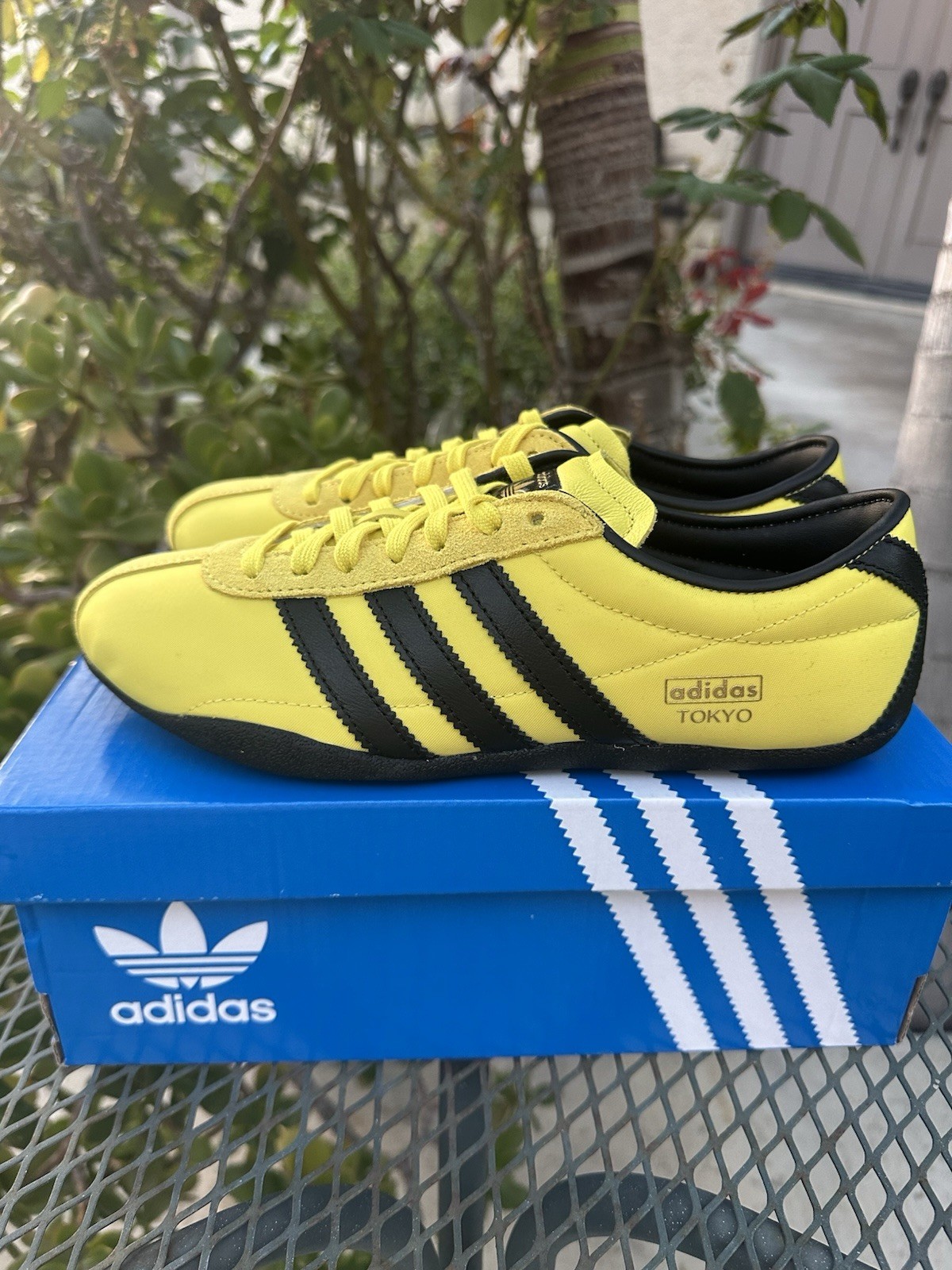 Adidas Originals Women's Tokyo Fashion Sneakers Shoes  'Pure Sulfur'  JI3299