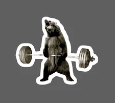 Grizzly Deadlift Sticker Gains Waterproof Gym Workout Bear Strength Gift NEW