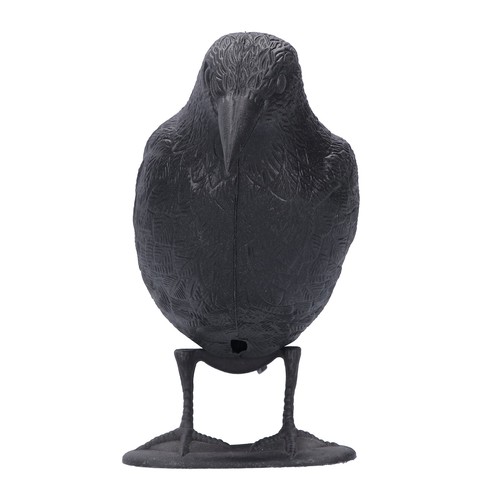 Simulation Plastic Crow Statue Hunting Bait Decoys Tool for Garden Decoration - Picture 2 of 12