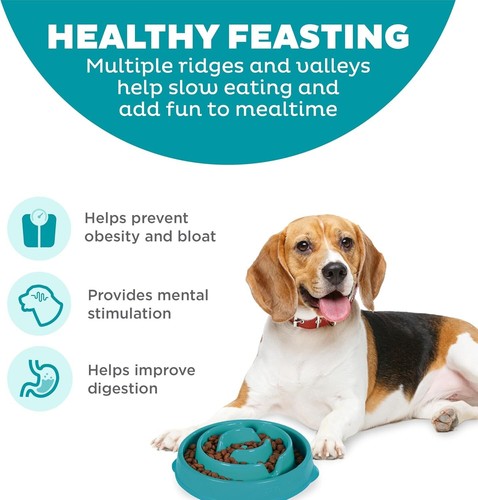 Outward Hound Fun Feeder Slo Bowl, Slow Feeder Dog Bowl, Medium/Mini, Turquoise - Picture 4 of 12
