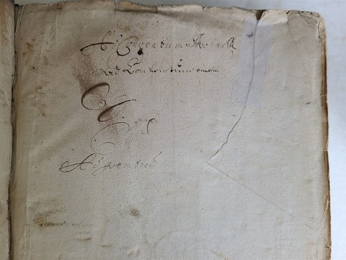 1562 JOSEPHUS FLAVIUS HISTORY of JEWS antique PIGSKIN 16th CENTURY FOLIO Judaica - Picture 8 of 15
