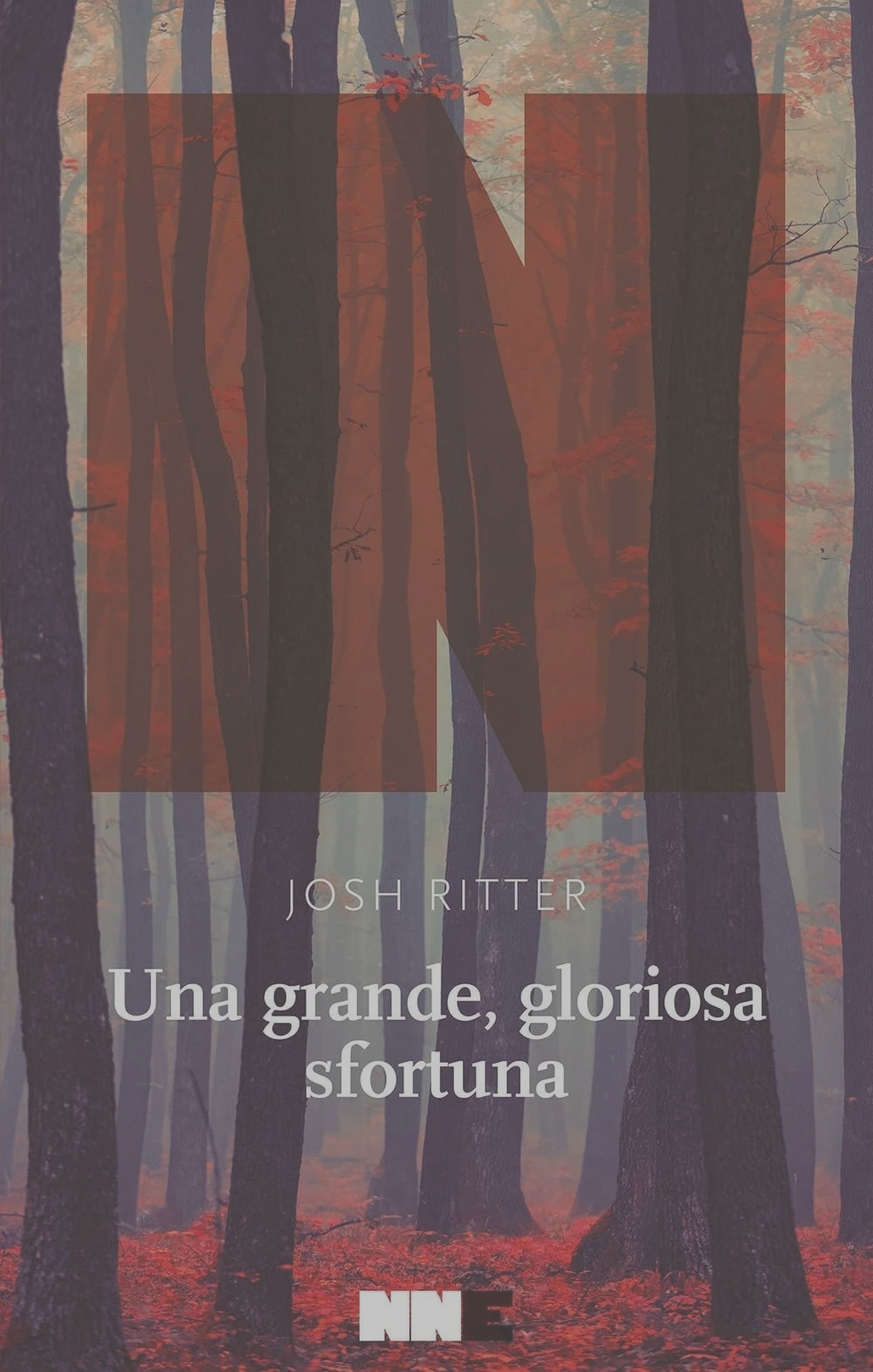 Una grande, gloriosa sfortuna [Paperback] Ritter, Josh and Pellas, Francesca cs4