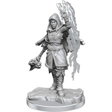 WizKids D D Nolzur's Marvelous Miniatures: Half-Elf Warlock Unpainted Gray