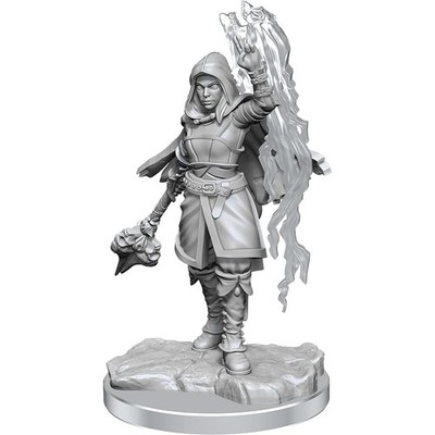 WizKids D&D Nolzur's Marvelous Miniatures: Half-Elf Warlock Unpainted Gray 