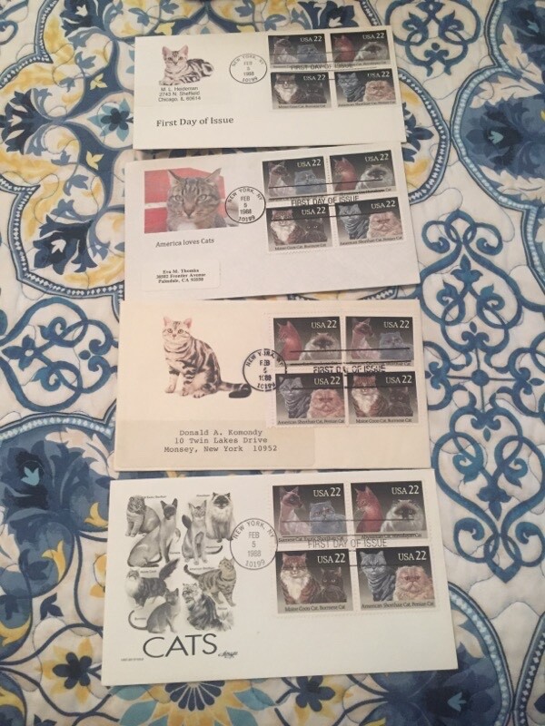 その他 FUN ホンダライブDio ZX キャブレタージャンク(キャブレター)｜売買された