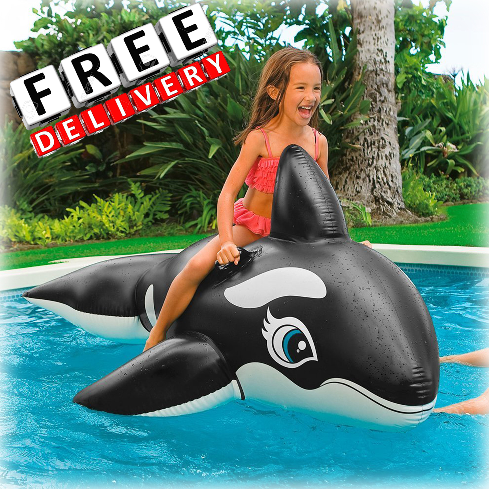 dolphin floaties