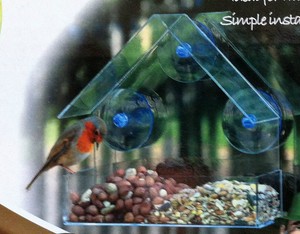 Window Bird Feeder 3 Suction Discs To Stick To Glass Transparent