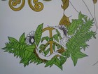 Bild 9 von 11