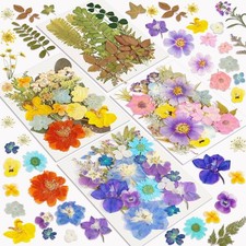 Dried Flowers, Resiners 100Pcs Pressed Flowers for Craft Retro Style Real Nat...