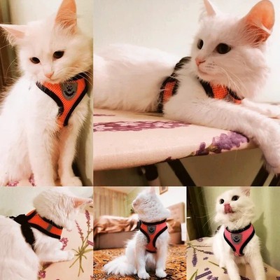 Pet Cat Harness and 59'' Leash Escape Proof Adjustable Vest for Cats