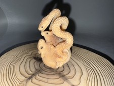 Netsuke Schlange mit Ratten Taguanuss Japan signiert Augen aus Onyx  63mm