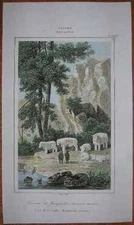 1844 print BULLS OF GUISANDO, AVILA, SPAIN (#63a)