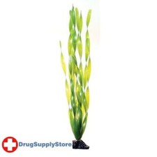 RA Green Jungle Vallisneria - 20"