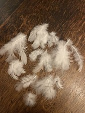 WHITE PEACOCK BODY FEATHERS X 30 Art Craft Hats Design 