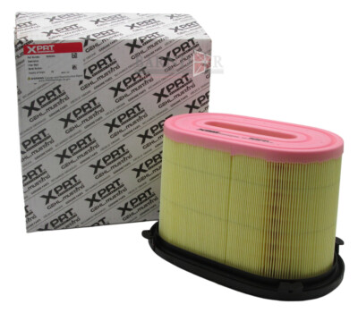 Manitou Air Cleaner & Exhaust Main Filter | 50352454