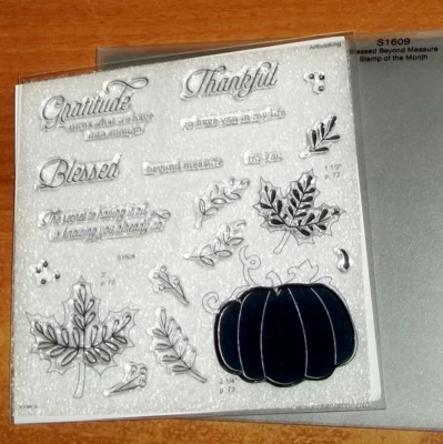 CTMH S1609 BLESSED BEYOND MEASURE ~ The secret to having it all is knowing you..