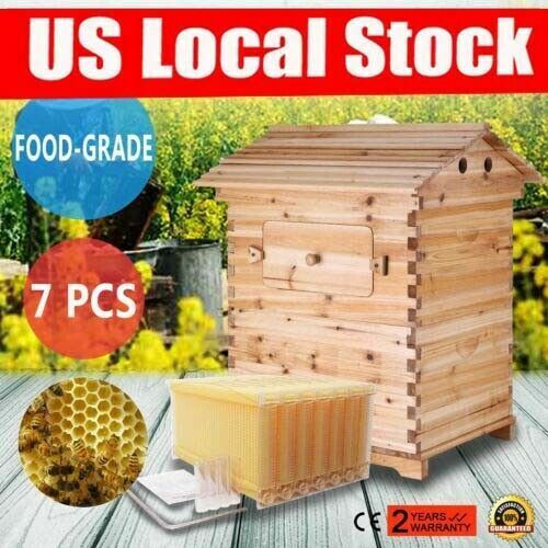7PCS Free Flowing Honey Hive Beehive Frames / Beekeeping Brood Cedarwood Box US