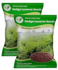 Hedge Lucerne-Velimasal-Desmanthus Fodder 2 Kg Multicut for Fodder Cult 5 pounds