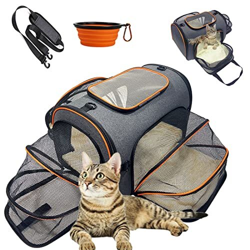 soft sided carrier for dogs