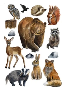 Watercolour Woodland Animals Fox Owl Bear Self Adhesive Wall Sticker