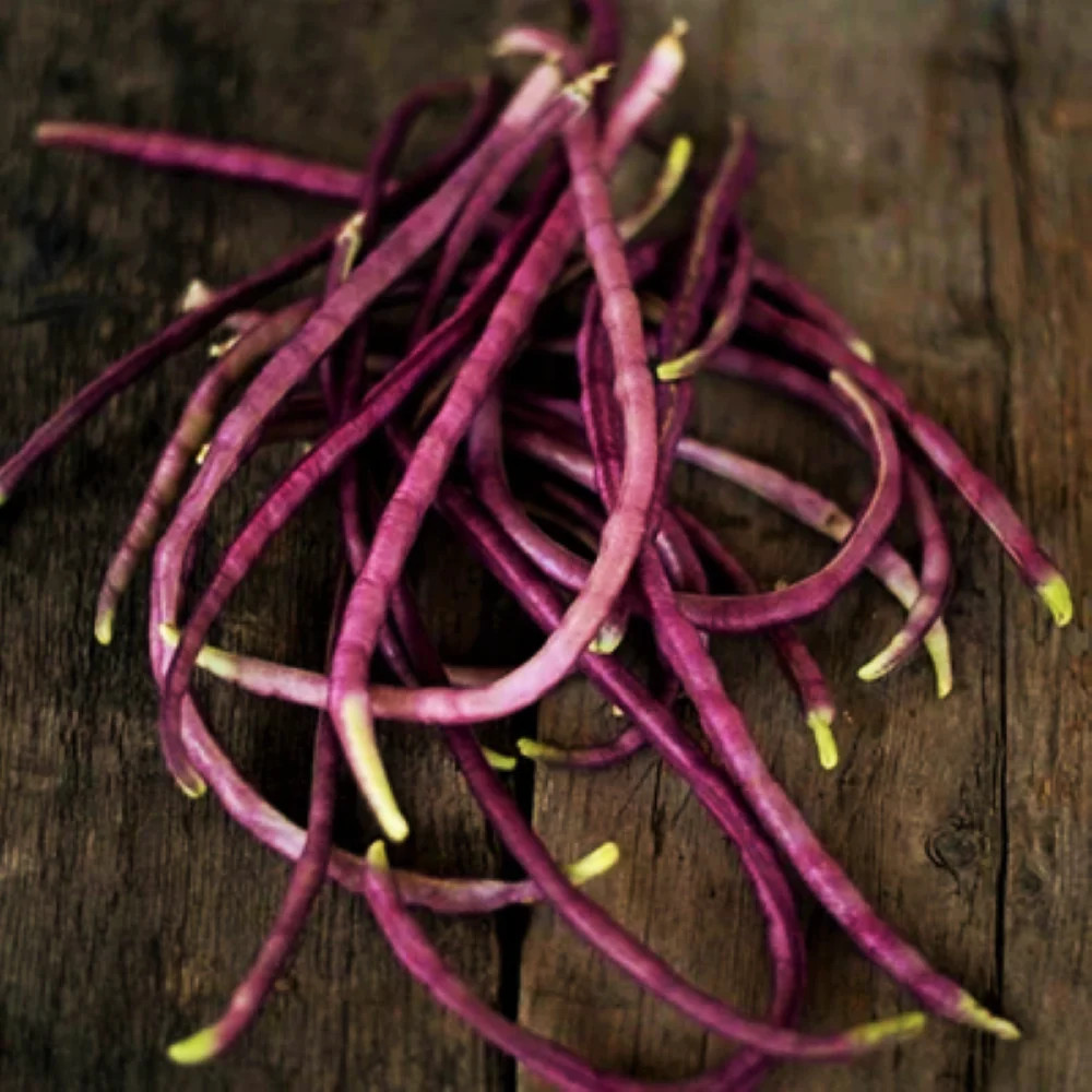 Mosaic Yard Long Bean Seeds - 80+ Count - For 2026 Planting Purple