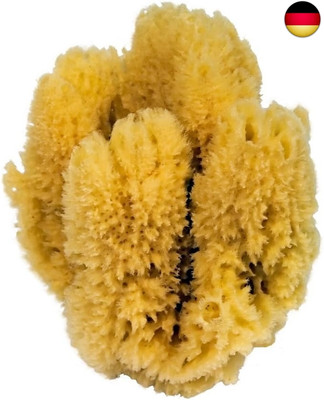 Croll & Denecke Naturschwamm, Natur, ca.16-18 cm