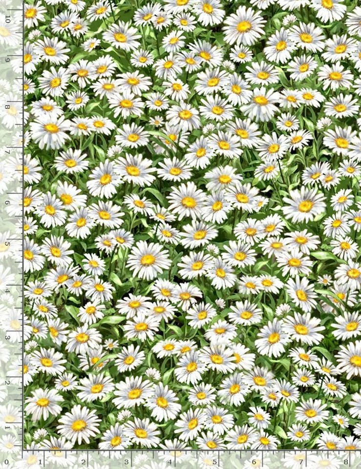 Fabric Flowers Daisies Packed Leaves TIMELESS TREASURES Cotton 1/4 Yard ...