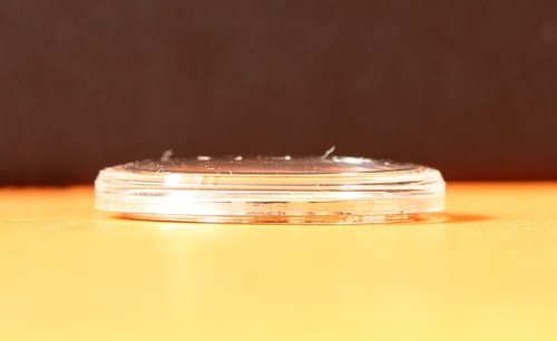 Verre avec bague de tension, 279 mm | SA Verre avec bague de tension, 279 mm | SA